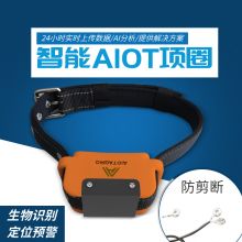 智能项圈（NB-IoT版）牲畜项圈、牛项圈、羊项圈，支持计步定位、电子围栏、智能养殖系统