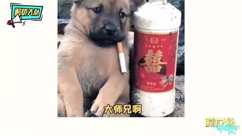 冬天到底有多冷？真是一不小心变冰棍