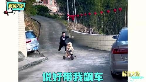 动物倒霉蛋大赏，搞笑操作从来不会让我失望