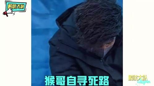 动物倒霉蛋大赏，对不起我是真的很想笑