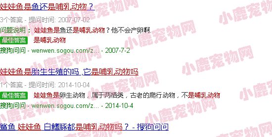 娃娃鱼是哺乳动物吗