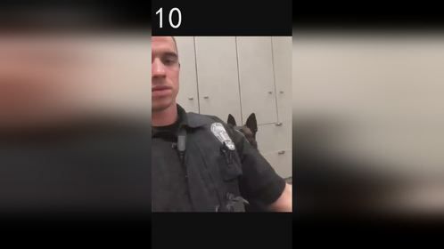 可爱萌宠笑到停不下