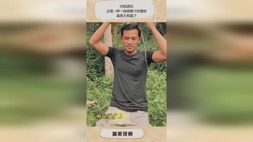 你知道吗，这是一种一捏就爆汁的植物，真是太有趣了