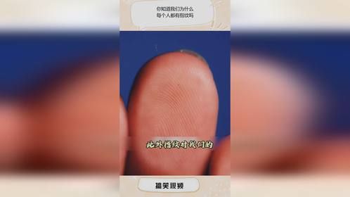 你知道我们为什么，每个人都有指纹吗