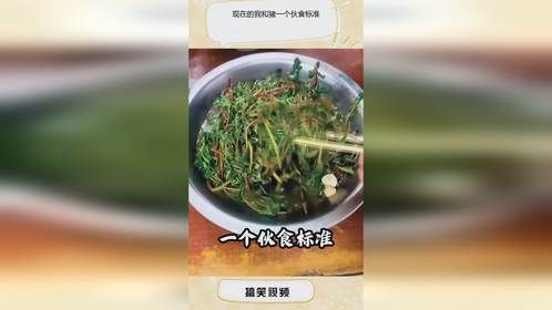 现在的我和猪一个伙食标准