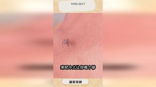 今天丢人丢大了