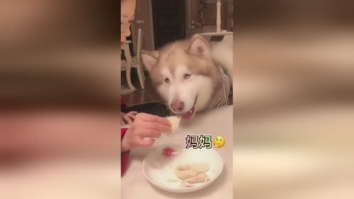  富贵是从小缺爱啊 