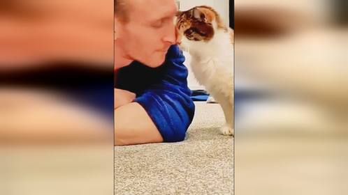 猫咪：下班了，情绪需要释放