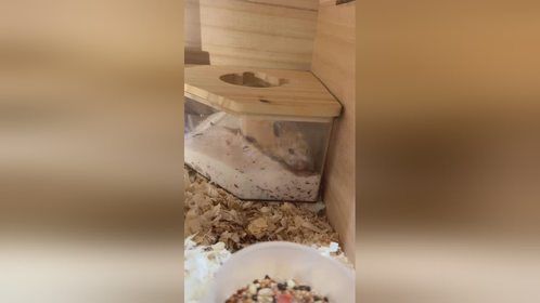 怎么天天都往里面钻