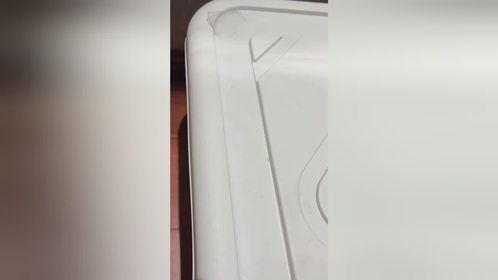 “花枝鼠”你绝对没有看过的