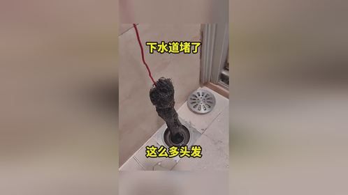 下水道堵了，这么多头发