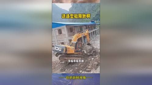 这造型挺别致啊！