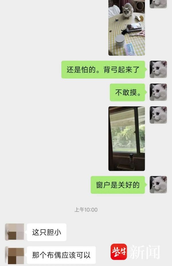 南京小伙国庆假期上门数十家,原来是为了…