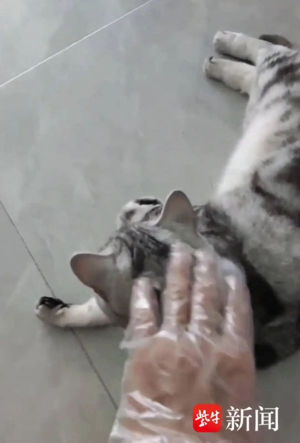 南京小伙国庆假期上门数十家,原来是为了…