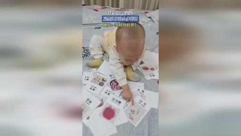 这么小的宝宝，居然认识这么多药材，网友：李时珍转世？