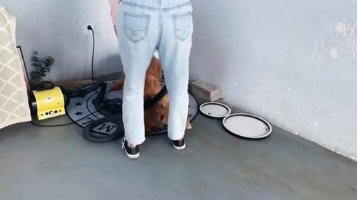 宠物狗洗澡吹风了怎么办