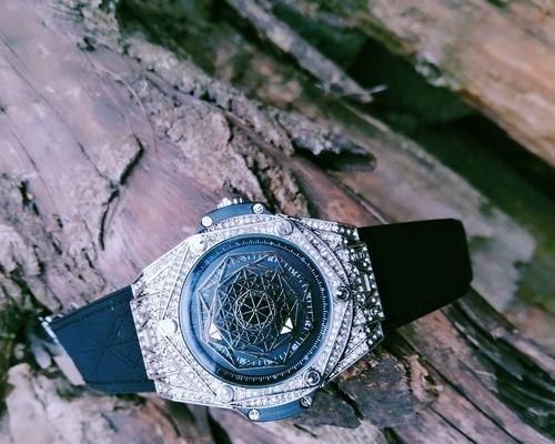 蛛网龟的饲养方法（详细介绍如何养护这种珍稀爬行动物）