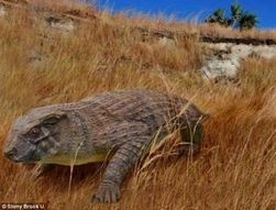 迷你鳄鱼：新手友好宠物？