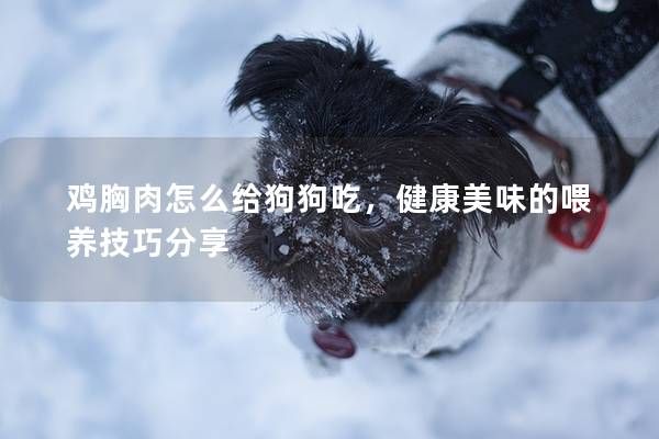 鸡胸肉怎么给狗狗吃,健康美味的喂养技巧分享