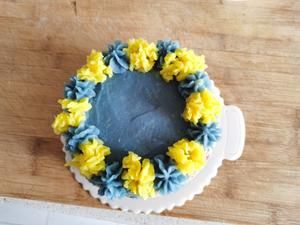 宠物蛋糕狗狗蛋糕的做法 步骤7