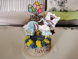 宠物蛋糕狗狗蛋糕的做法 步骤8