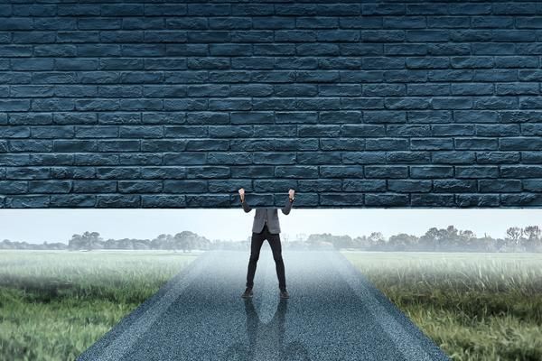 宠物活体：与萌宠互动的正确打开方式 图1