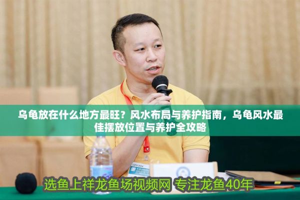 乌龟放在什么地方最旺?风水布局与养护指南,乌龟风水最佳摆放位置与养护全攻略