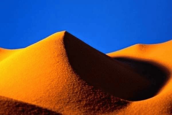 警犬小型犬种有哪些,警犬小型犬种有哪些图片