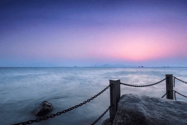 家庭适合养什么小型犬种,家庭适合养什么小型犬种狗