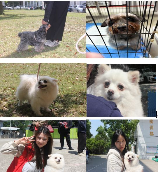 e73f9cd978283aac5dfbd975b1ffdd4