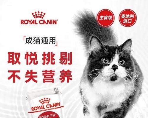 为何皇家猫粮不被推荐给猫咪？