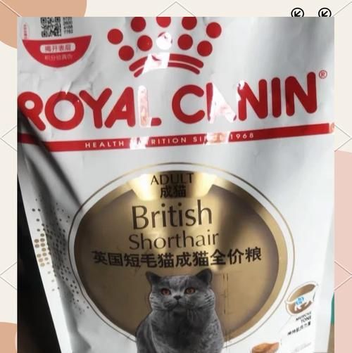 为何皇家猫粮不被推荐给猫咪？