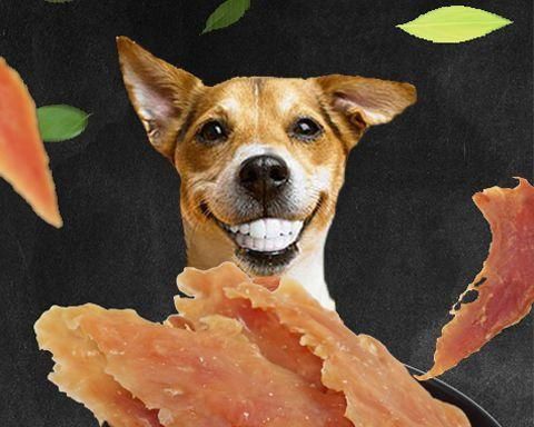 以新养的小狗能吃什么（关于宠物饮食的指南）