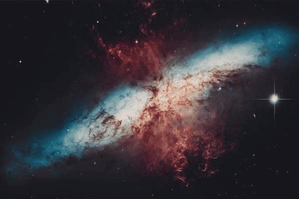 斗牛犬什么时候成年,斗牛犬多大成年