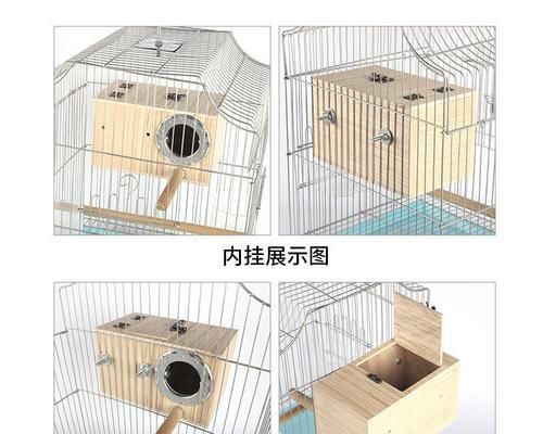 白文鸟繁殖的最佳窝选择（为白文鸟提供最舒适的繁殖环境）