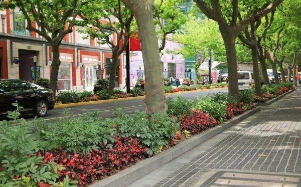 风景园林师对韧性景观的理解 学景观必看的书