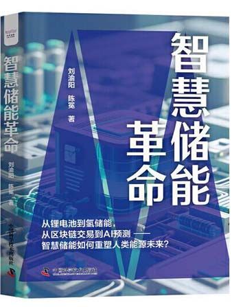 智慧储能革命 揭示储能行业的技术路线与底层逻辑 洞见能源革命的未来图景