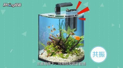 威海经济技术开发区新纪元宠物水族馆(威海经济技术开发区新纪元宠物水族馆)