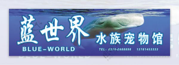 水族宠物馆
