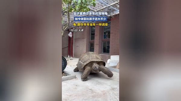 Thumbplayer Poster Plugin Image