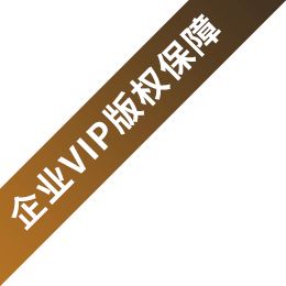 企业VIP版权保障
