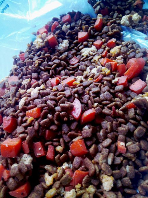 营养狗粮拒绝挑食 第12步