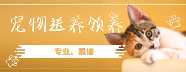 领养动物平台app推荐