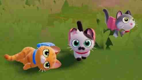 心动小镇猫咪活力怎么恢复 心动小镇猫咪活力恢复方法