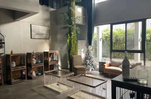 “再给一次机会，我还是会选择宠物业”，专访“育宠匠”创办人田奥