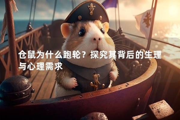 仓鼠为什么跑轮?探究其背后的生理与心理需求