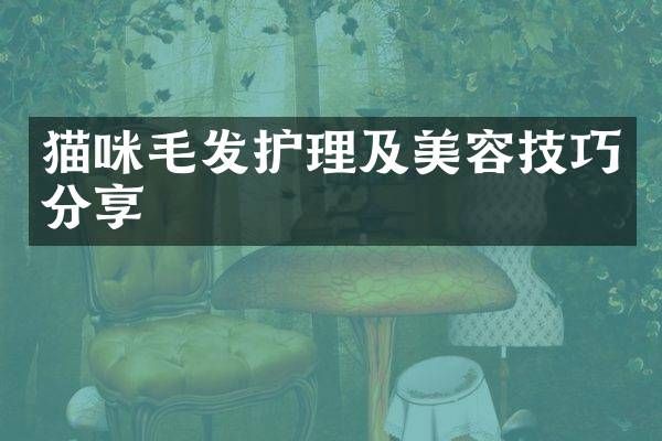 猫咪毛发护理及美容技巧分享