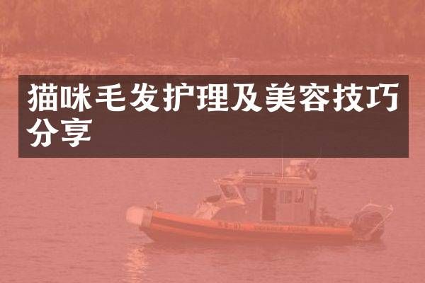 猫咪毛发护理及美容技巧分享