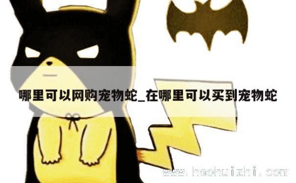 哪里可以网购宠物蛇_在哪里可以买到宠物蛇 第1张