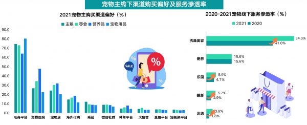 毛孩子的 “专属王国”：宠物经济背后那些藏着爱与温暖的故事